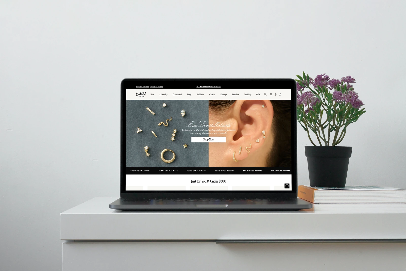 Catbird jewellery website displayed on a MacBook on a white cabinet beside a flowering plant.